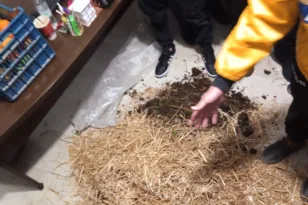 Αγρότες διαμαρτυρήθηκαν με σανό και κοπριά στα γραφεία βουλευτών της ΝΔ στο Αγρίνιο ΦΩΤΟ