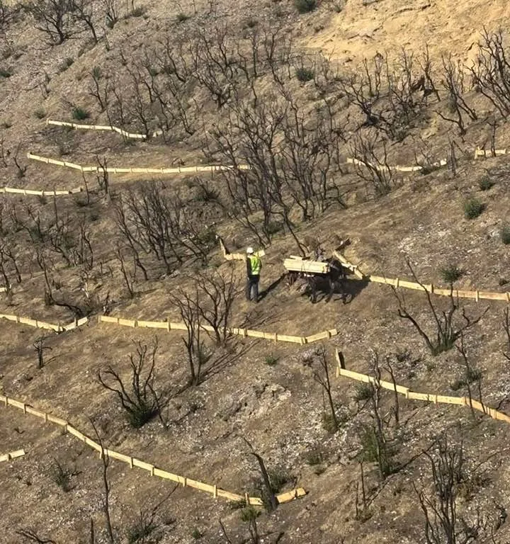 Σε εξέλιξη τα έργα στα καμένα Πάτρας και Δυτικής Αχαΐας: Σε χρόνο-ρεκόρ οι παρεμβάσεις