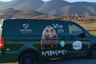 Ο Αρκτούρος απέκτησε το πρώτο ασθενοφόρο για άγρια θηλαστικά