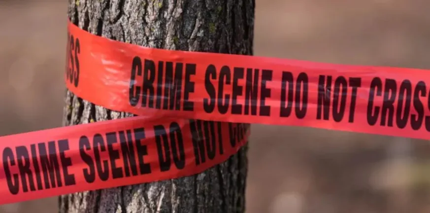 Φλόριντα: Άγρια δολοφονία 14χρονης, την πυροβόλησαν και έκαψαν το σώμα της