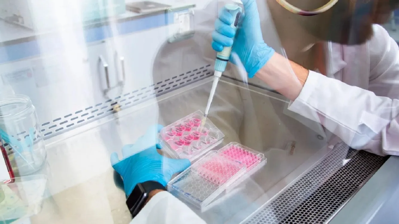 Αγωνία για 11 οικογένειες στην Ελλάδα με παιδιά από τον Δανό δότη - Τα κενά στους γενετικούς ελέγχους και υψηλοί κίνδυνοι Αγωνία για 11 οικογένειες στην Ελλάδα με παιδιά από τον Δανό δότη - Τα κενά στους γενετικούς ελέγχους και υψηλοί κίνδυνοι