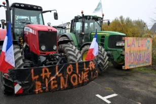 Γαλλία: Βίαια επεισόδια σε διαδηλώσεις αγροτών, ΒΙΝΤΕΟ