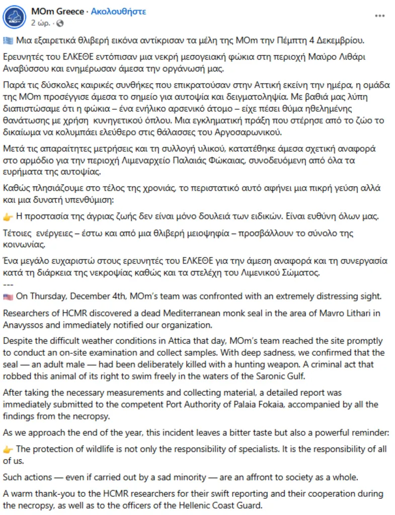 Μαύρο Λιθάρι: Φρίκη, νεκρή μεσογειακή φώκια από πυροβολισμούς! Μαύρο Λιθάρι: Φρίκη, νεκρή μεσογειακή φώκια από πυροβολισμούς!