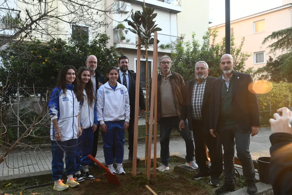 Η Πάτρα κέρδισε με «νοκ-άουτ» και πήρε άριστα στο Πανελλήνιο πρωτάθλημα ΦΩΤΟ Η Πάτρα κέρδισε με «νοκ-άουτ» και πήρε άριστα στο Πανελλήνιο πρωτάθλημα ΦΩΤΟ