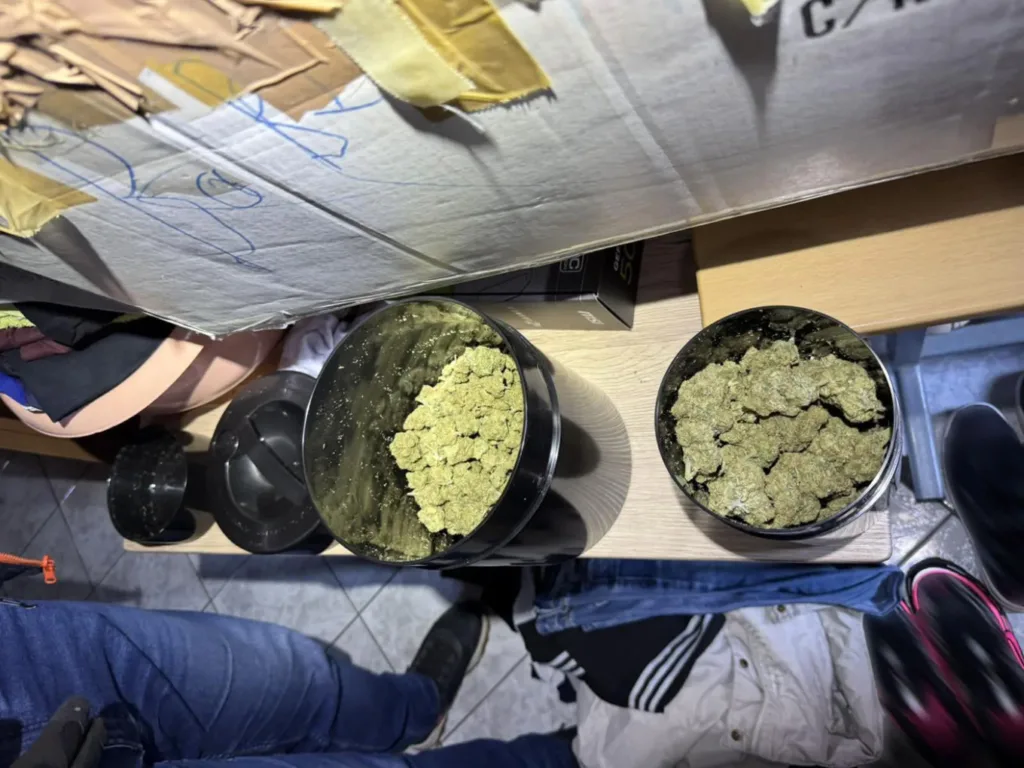 Αττική: Εγκληματική οργάνωση έκλεβε, παραποιούσε και μεταπωλούσε οχήματα, ΦΩΤΟ