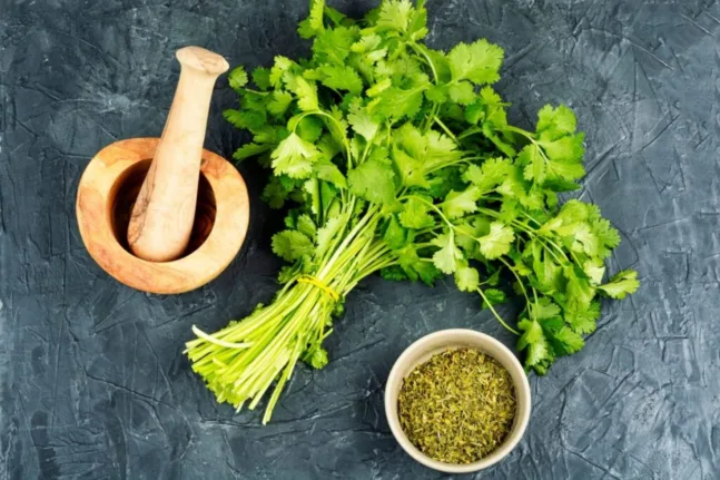 Το βότανο που αντικαθιστά το αλάτι!