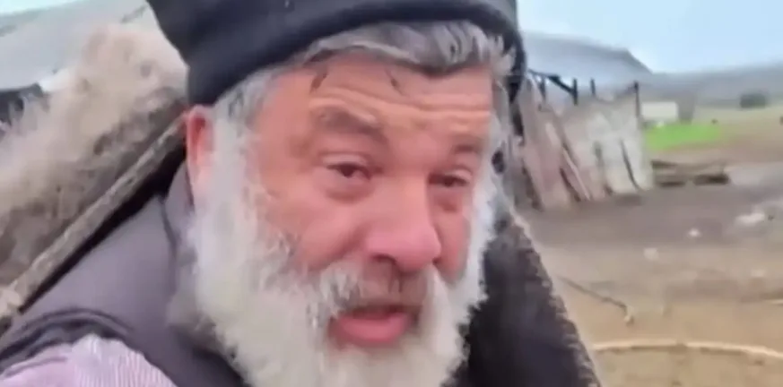 «Γιατρεύτηκαν, αλλά μου τα θανατώνουν»: Χάνεται μαζί του μια σπάνια φυλή - Συγκλονίζει ο κτηνοτρόφος που βλέπει να αφανίζεται το κοπάδι μιας ζωής ΒΙΝΤΕΟ