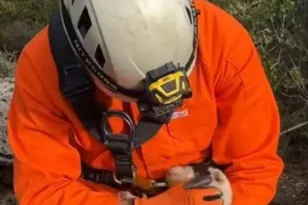 Πήλιο: Πέθανε και το τελευταίο κουτάβι που είχε διασωθεί μετά την ρίψη σε γκρεμό