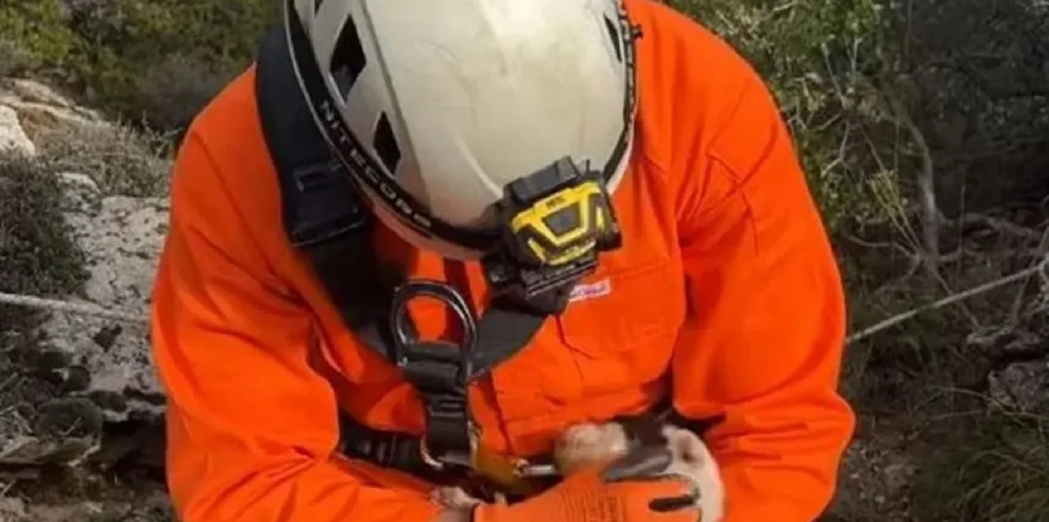 Πήλιο: Πέθανε και το τελευταίο κουτάβι που είχε διασωθεί μετά την ρίψη σε γκρεμό