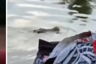 ΒΙΝΤΕΟ κροκόδειλος κατασπάρεξε 10χρονο στην Ινδονησία