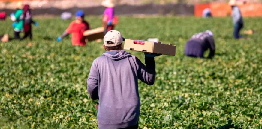 Καπελέτο Ηλείας: κρεμάστηκε εργάτης από το Νεπάλ...