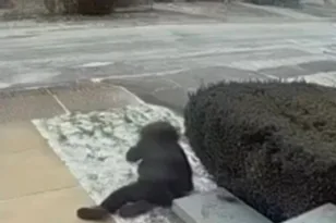 Αέρας εκφενδόνισε γυναίκα στη Νέα Υόρκη ΦΩΤΟ