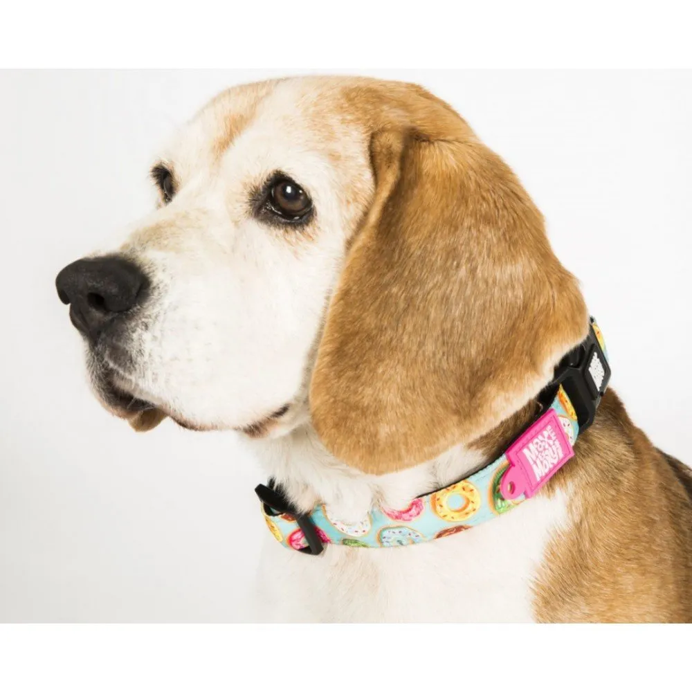 Προσοχή, οι τρεις μεγάλοι άγνωστοι κίνδυνοι που μπορεί να προκαλέσει στον σκύλο σας το περιλαίμιο Προσοχή, οι τρεις μεγάλοι άγνωστοι κίνδυνοι που μπορεί να προκαλέσει στον σκύλο σας το περιλαίμιο