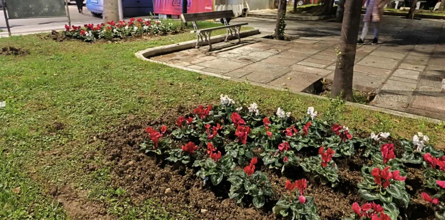 Πράσινο και στην Πλατεία Πίνδου και θετικό πρόσημο