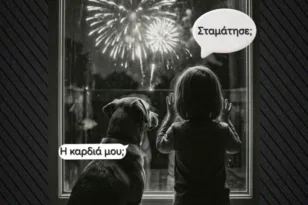 Το μήνυμα της ΕΛΑΣ για τα πυροτεχνήματα: Ένα παιδί και ένα σκυλί θυμίζουν πως «δεν είναι διασκεδαστικά για όλους»