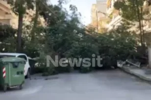 Θεσσαλονίκη: Δέντρα έπεσαν εξαιτίας των θυελλωδών ανέμων