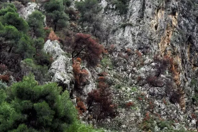 Σε μία από τις δύο εξαφανισμένες Γαλλίδες τουρίστριες ανήκει ο σκελετός που βρέθηκε στη Σίκινο