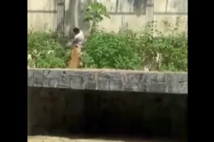 Βραζιλία: Σοκ, λιοντάρι κατασπάραξε 19χρονο!