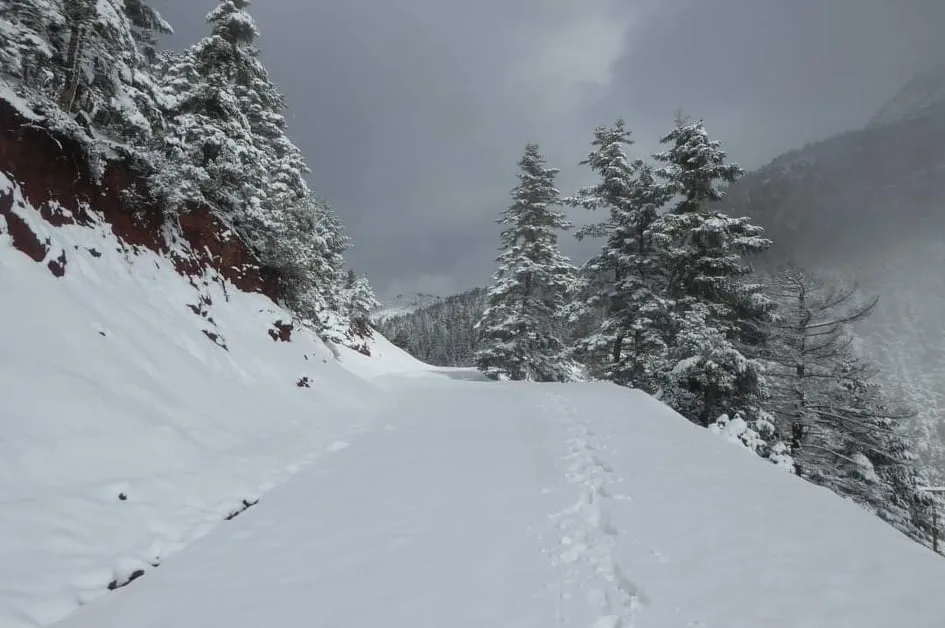 Καιρός – Πρωτοχρονιά 2026: Με χαμηλές θερμοκρασίες και περιορισμένα φαινόμενα η αλλαγή του χρόνου