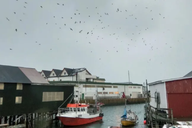 Το νησί όπου τα ρολόγια σταμάτησαν: Η ζωή χωρίς χρόνο στο βορειότερο άκρο της Νορβηγίας