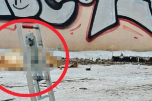 Γκύζη: Κατάκοιτη και με άνοια η σύζυγος του 74χρονου