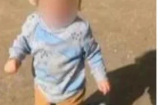 Το πίτμπουλ κατασπάραξε τον 2χρονο σε 30 δευτερόλεπτα