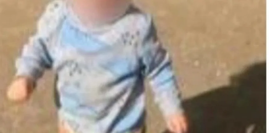 Το πίτμπουλ κατασπάραξε τον 2χρονο σε 30 δευτερόλεπτα