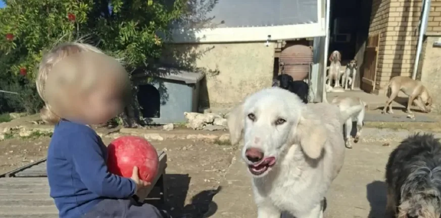 Ζάκυνθος: Η απάντηση του πατέρα για τις κατηγορίες μετά την τραγωδία με το δίχρονο - «Με ποια λογική να εγκαταλείψω το παιδί μου;»