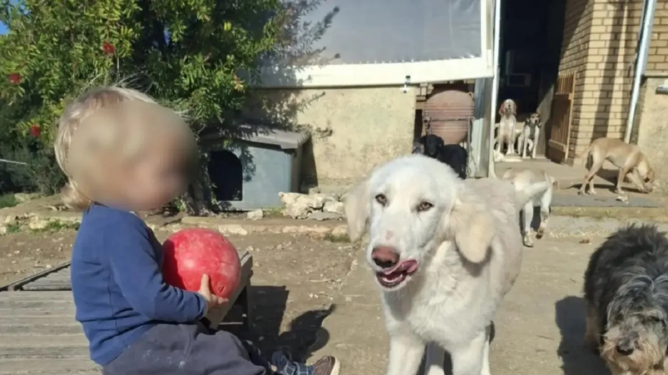 Ζάκυνθος: Η απάντηση του πατέρα για τις κατηγορίες μετά την τραγωδία με το δίχρονο - «Με ποια λογική να εγκαταλείψω το παιδί μου;»