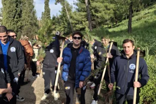 Ξεκίνησε η αναδάσωση στα καμμένα του Γηροκομειού – Την αρχή έκανε η ΝΕΠ