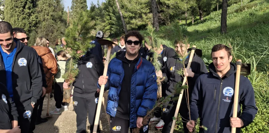 Ξεκίνησε η αναδάσωση στα καμμένα του Γηροκομειού - Την αρχή έκανε η ΝΕΠ