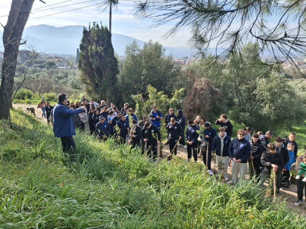 Ξεκίνησε η αναδάσωση στα καμμένα του Γηροκομειού - Την αρχή έκανε η ΝΕΠ