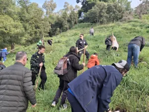 Ξεκίνησε η αναδάσωση στα καμμένα του Γηροκομειού - Την αρχή έκανε η ΝΕΠ