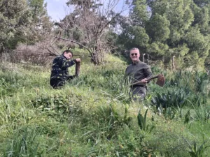 Ξεκίνησε η αναδάσωση στα καμμένα του Γηροκομειού - Την αρχή έκανε η ΝΕΠ