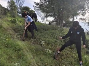Ξεκίνησε η αναδάσωση στα καμμένα του Γηροκομειού - Την αρχή έκανε η ΝΕΠ