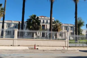 Η οδός των κομμένων δένδρων: Αναστάτωση στην καρδιά της Πάτρας με μουριές και έργα