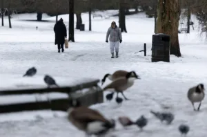 Η κακοκαιρία σαρώνει την Ευρώπη! Χιονοκαταιγίδες, θυελλώδεις άνεμοι και πολικές θερμοκρασίες, -20 στη Γερμανία