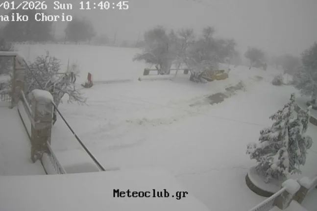 Αιγιάλεια: Χιονίζει σε Πυργάκι, Φτέρη και στα ορεινά της Ακράτας