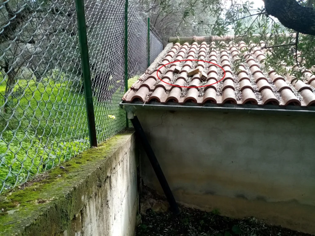 Πάτρα: Στόχος εισβολέων ιδιοκτησίες στο Ρωμανό ΦΩΤΟ Πάτρα: Στόχος εισβολέων ιδιοκτησίες στο Ρωμανό ΦΩΤΟ