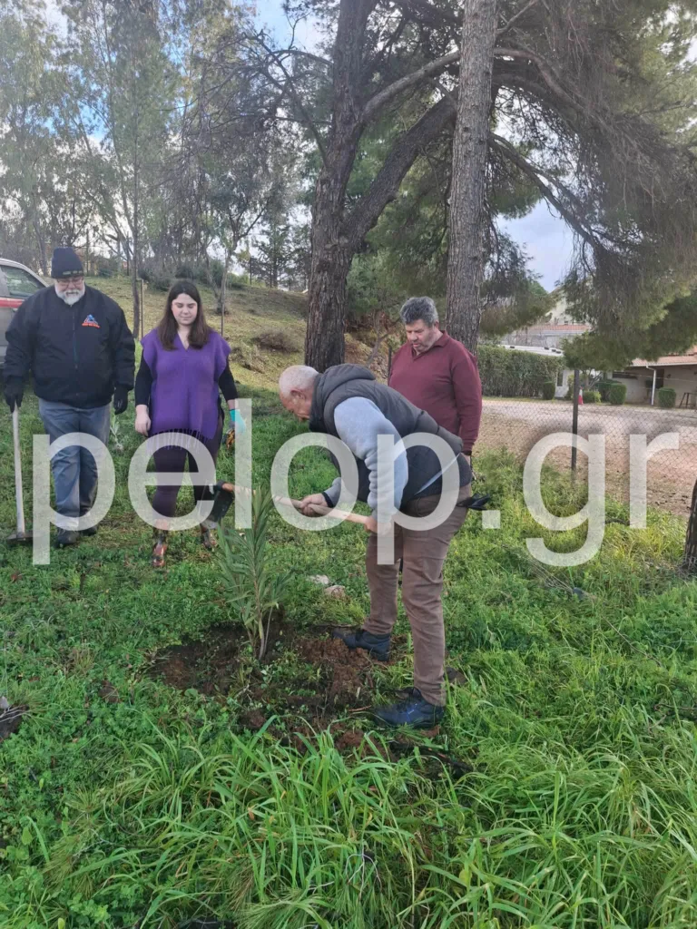Άλσος Γηροκομείου: Συνεχίζεται η αναδάσωση - Φορείς, εθελοντές και σχολεία ξαναφυτεύουν το πράσινο ΦΩΤΟ-ΒΙΝΤΕΟ