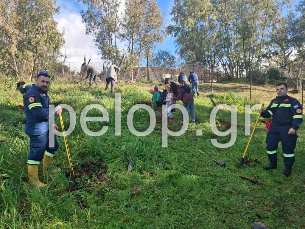 Άλσος Γηροκομείου: Συνεχίζεται η αναδάσωση - Φορείς, εθελοντές και σχολεία ξαναφυτεύουν το πράσινο ΦΩΤΟ-ΒΙΝΤΕΟ