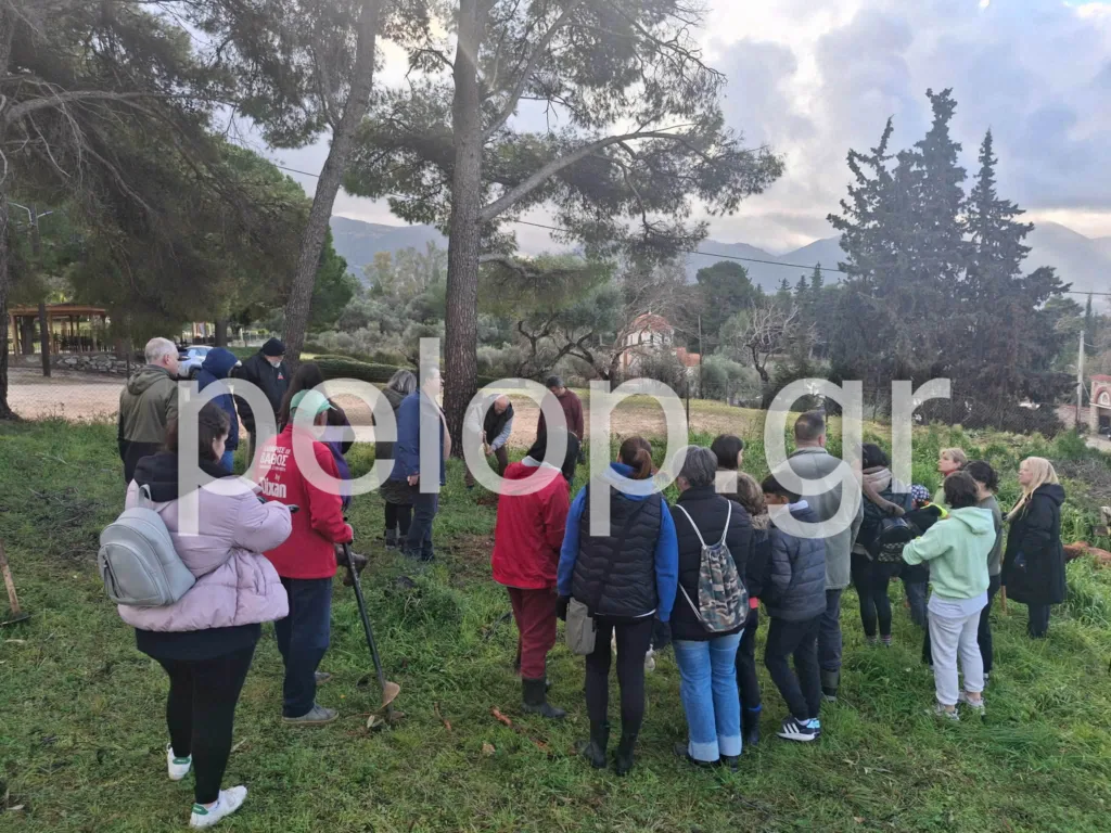 Άλσος Γηροκομείου: Συνεχίζεται η αναδάσωση - Φορείς, εθελοντές και σχολεία ξαναφυτεύουν το πράσινο ΦΩΤΟ-ΒΙΝΤΕΟ