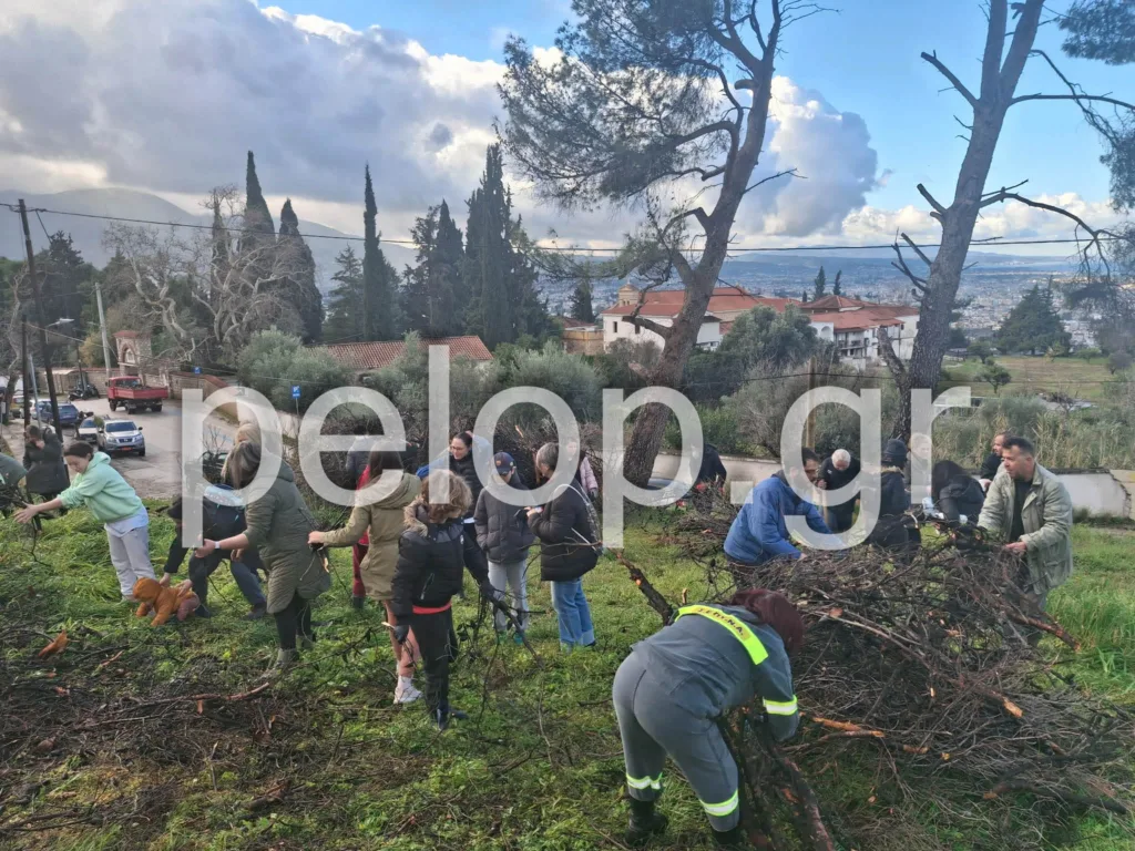 Άλσος Γηροκομείου: Συνεχίζεται η αναδάσωση - Φορείς, εθελοντές και σχολεία ξαναφυτεύουν το πράσινο ΦΩΤΟ-ΒΙΝΤΕΟ