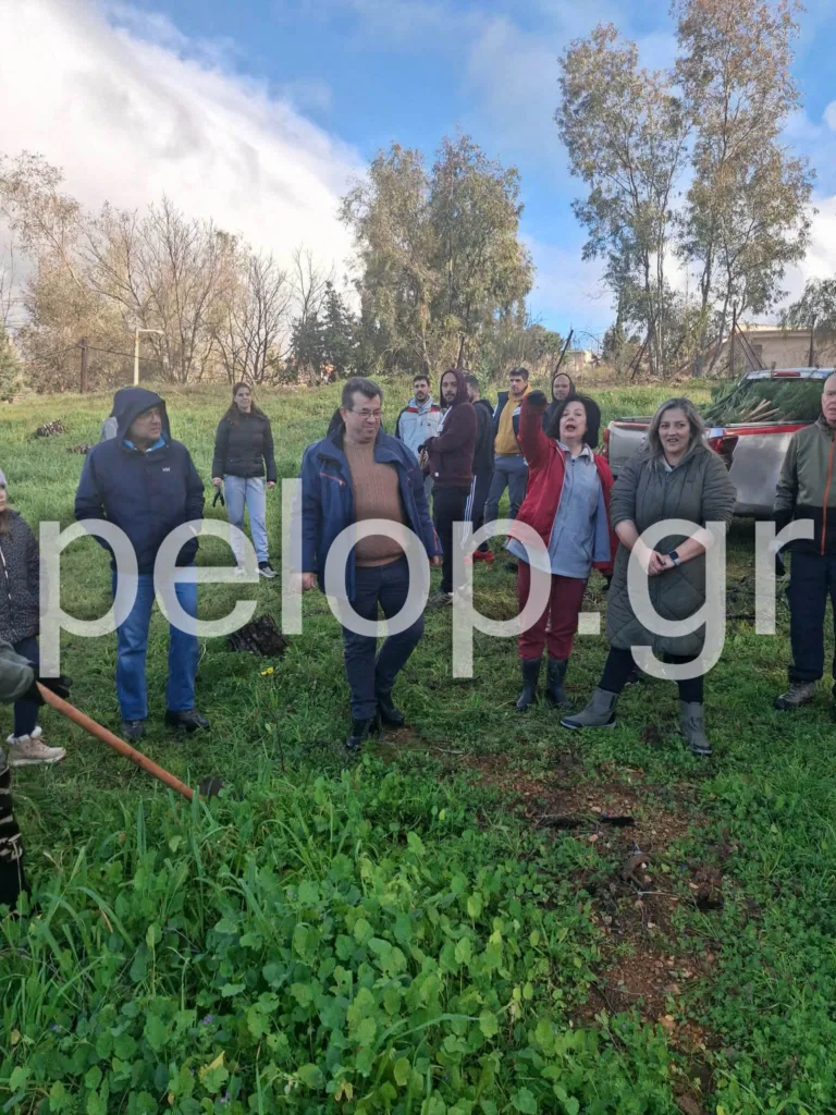 Άλσος Γηροκομείου: Συνεχίζεται η αναδάσωση - Φορείς, εθελοντές και σχολεία ξαναφυτεύουν το πράσινο ΦΩΤΟ-ΒΙΝΤΕΟ