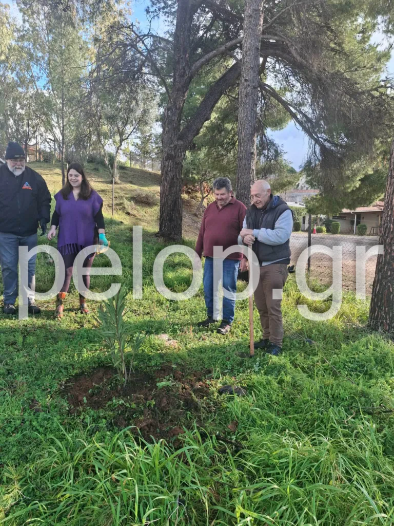 Άλσος Γηροκομείου: Συνεχίζεται η αναδάσωση - Φορείς, εθελοντές και σχολεία ξαναφυτεύουν το πράσινο ΦΩΤΟ-ΒΙΝΤΕΟ