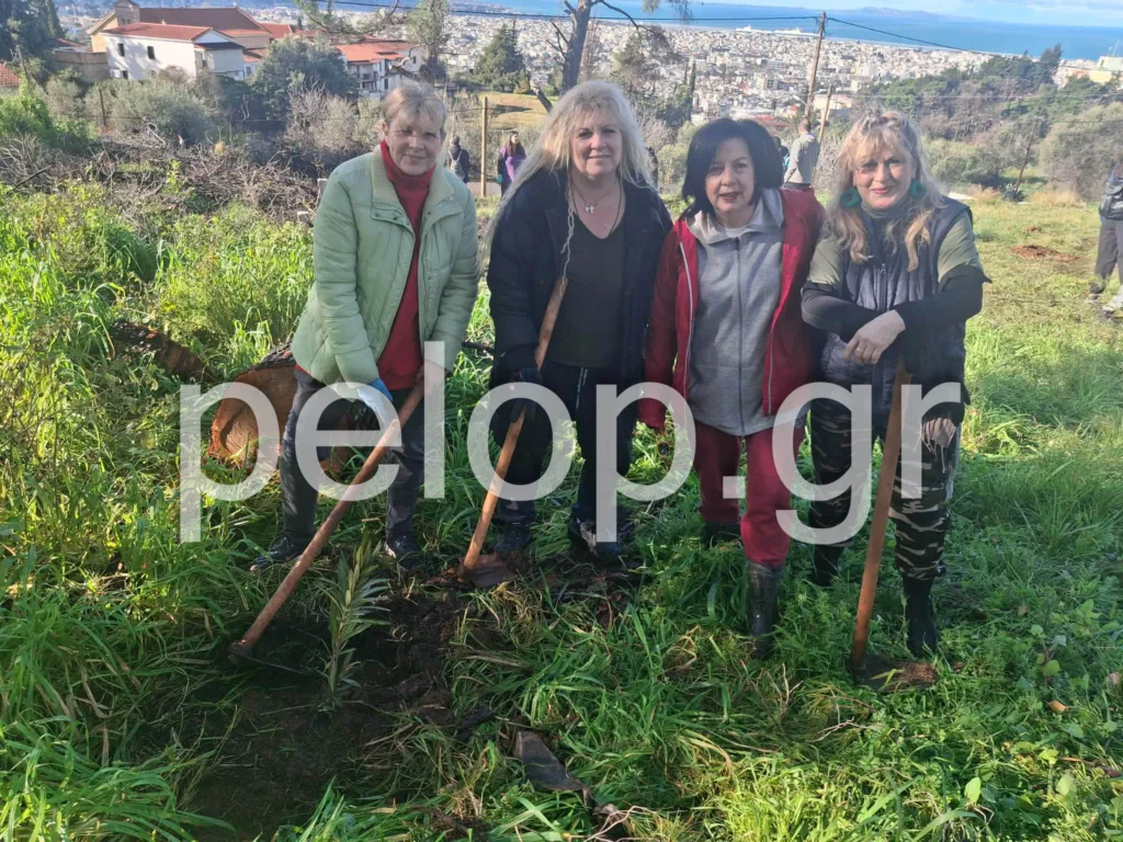 Άλσος Γηροκομείου: Συνεχίζεται η αναδάσωση - Φορείς, εθελοντές και σχολεία ξαναφυτεύουν το πράσινο ΦΩΤΟ-ΒΙΝΤΕΟ