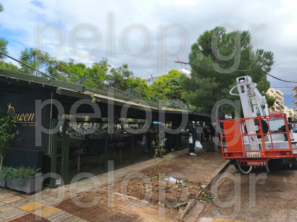 Πάτρα: Αποκαταστάθηκε το πρόβλημα από την πτώση δέντρου στα Ψηλαλώνια ΦΩΤΟ