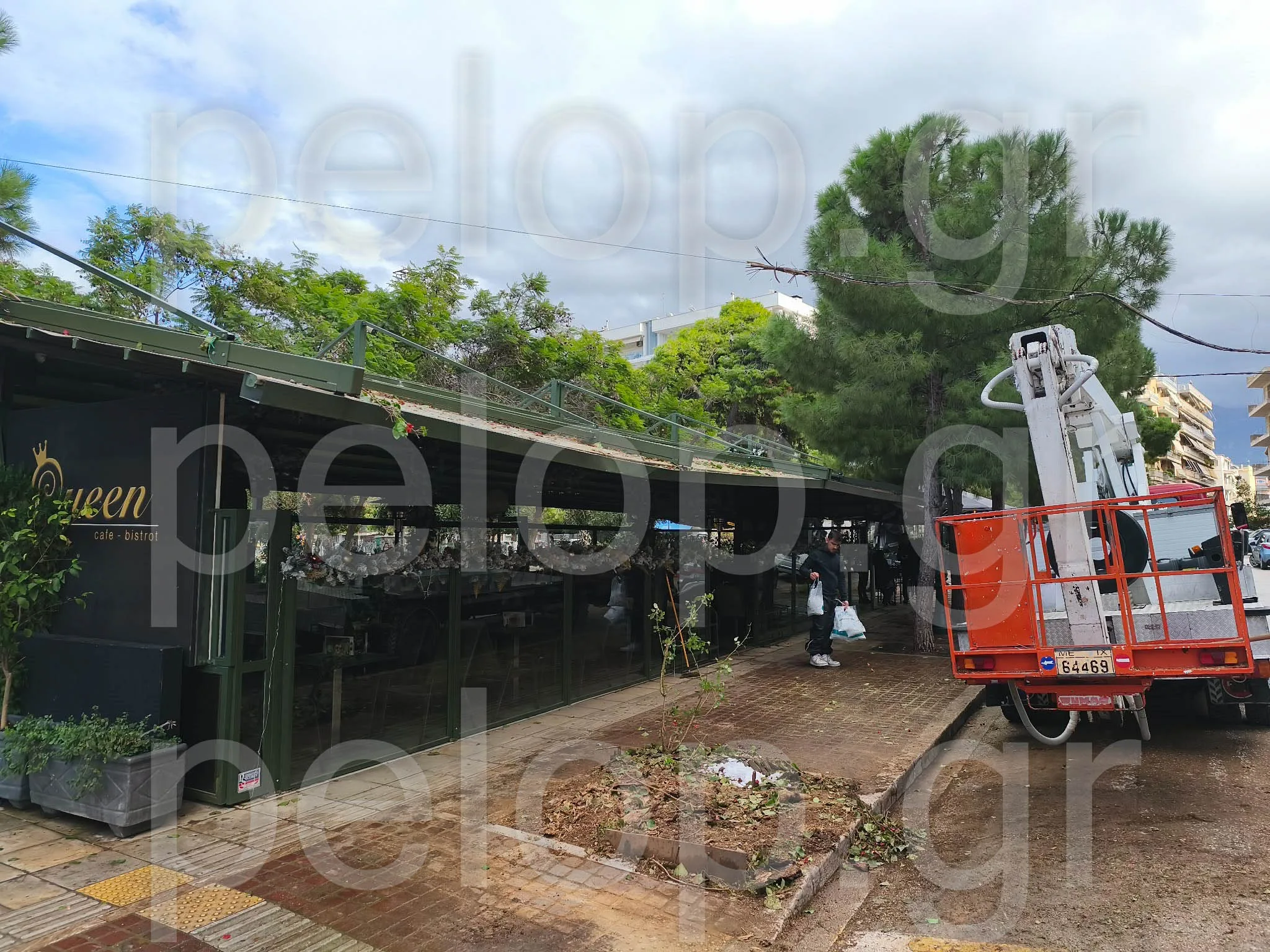 Πάτρα: Αποκαταστάθηκε το πρόβλημα από την πτώση δέντρου στα Ψηλαλώνια ΦΩΤΟ