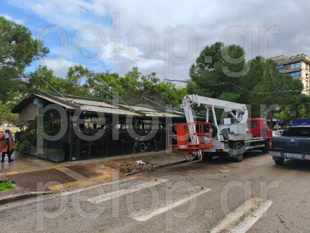 Πάτρα: Αποκαταστάθηκε το πρόβλημα από την πτώση δέντρου στα Ψηλαλώνια ΦΩΤΟ