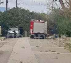 Πτώση δέντρου στην οδό Δ. Ακρίτα – Προβλήματα από την κακοκαιρία στην Πάτρα ΦΩΤΟ